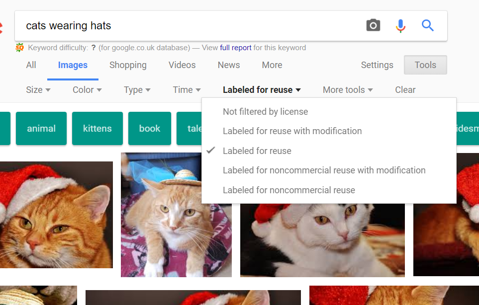 cat image search